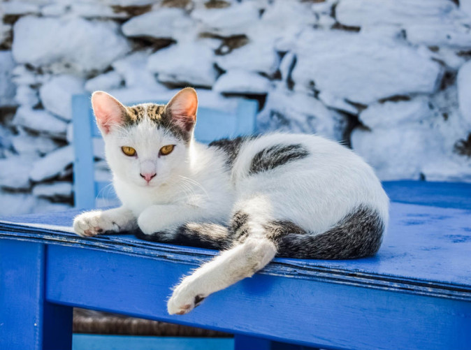 0028_Schoene Aussichten Touristik_Griechenland-pixabay-cat_SchoeneAussichtenTouristik